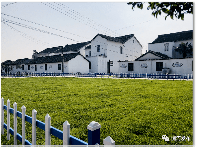 乡村振兴何桥村夯实高质量发展根基谱写乡村振兴新篇章