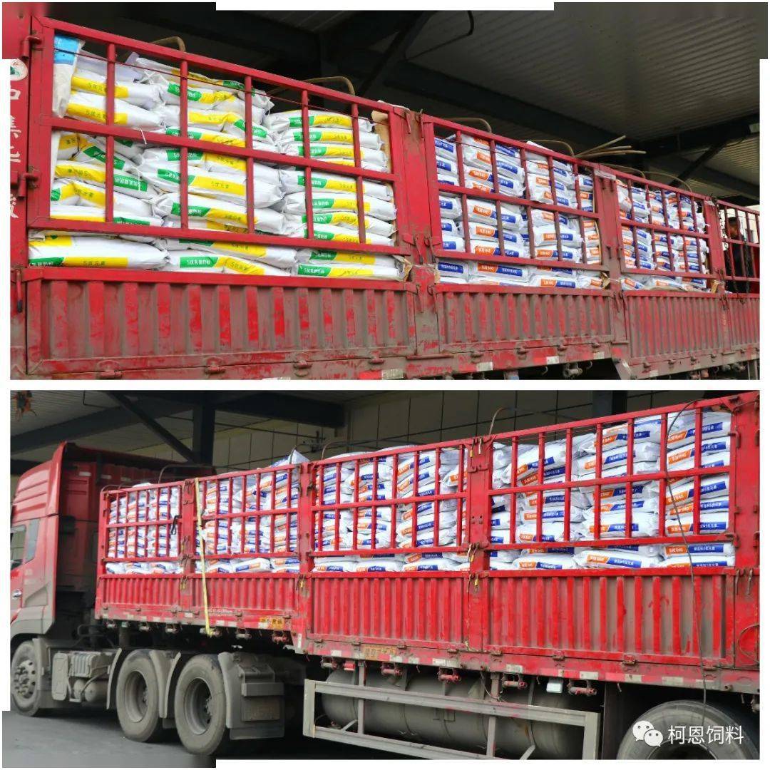 柯恩动态沉舟侧畔千帆过病树前头万木春柯恩预混料事业部2020年销量喜