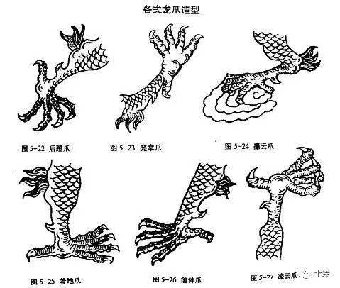 龙的身体结构图片