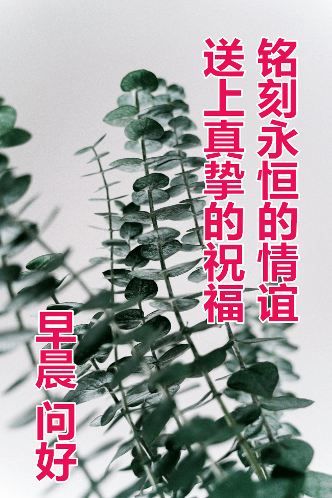 1月16日最漂亮早上好动态表情图片大全,早晨好动图美图大全-搜狐大视