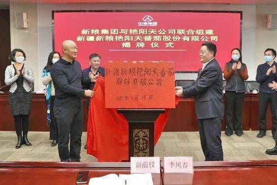 中泰头条打造新疆特色番茄产业靓丽新名片新粮集团与艳阳天公司联合
