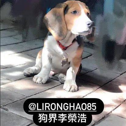楊丞琳曬出一張照片引起全網爆笑：這是李榮浩的娃嗎？哈哈哈哈哈！ 萌趣萌寵 第4张
