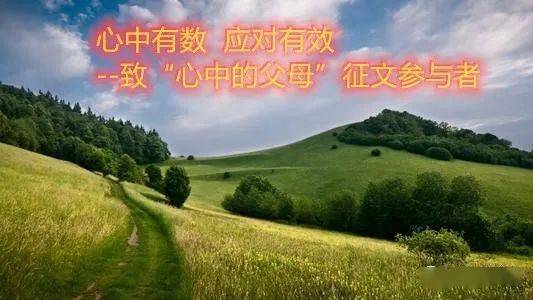 凤凰县2021年gdp_湘西凤凰县1996年图片(3)