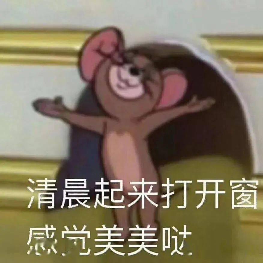 2e900efaa98047769281eb64818de1f1.jpeg