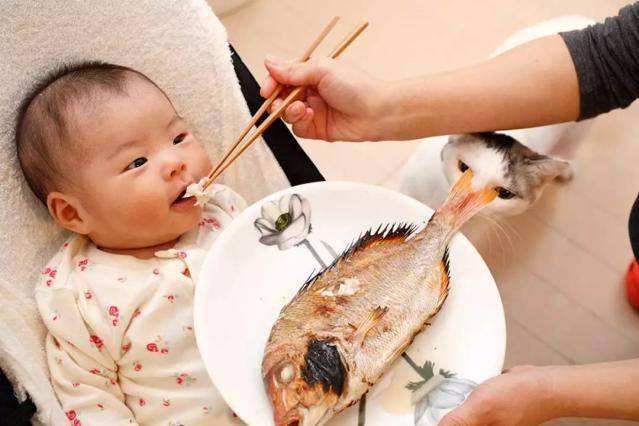 婴幼儿第一次吃鱼怎么吃