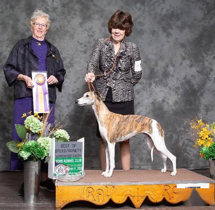 惠比特排名_惠比特(3)