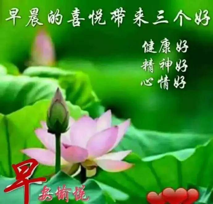 如何做到心平气和 56a2453bf75d41ccb47c6a75c4219079.jpeg