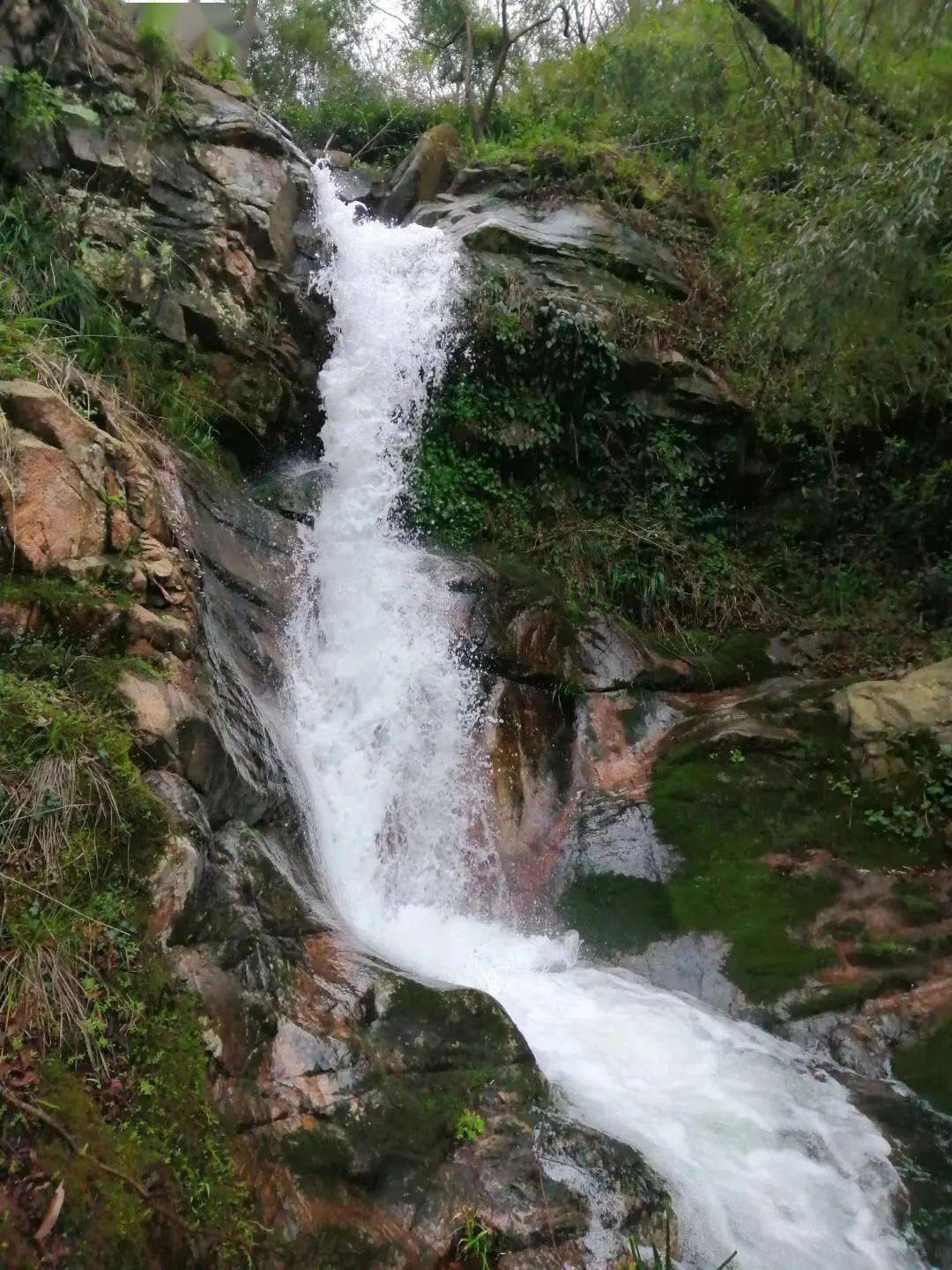 跟着图片游庐江汤池岁月的童话