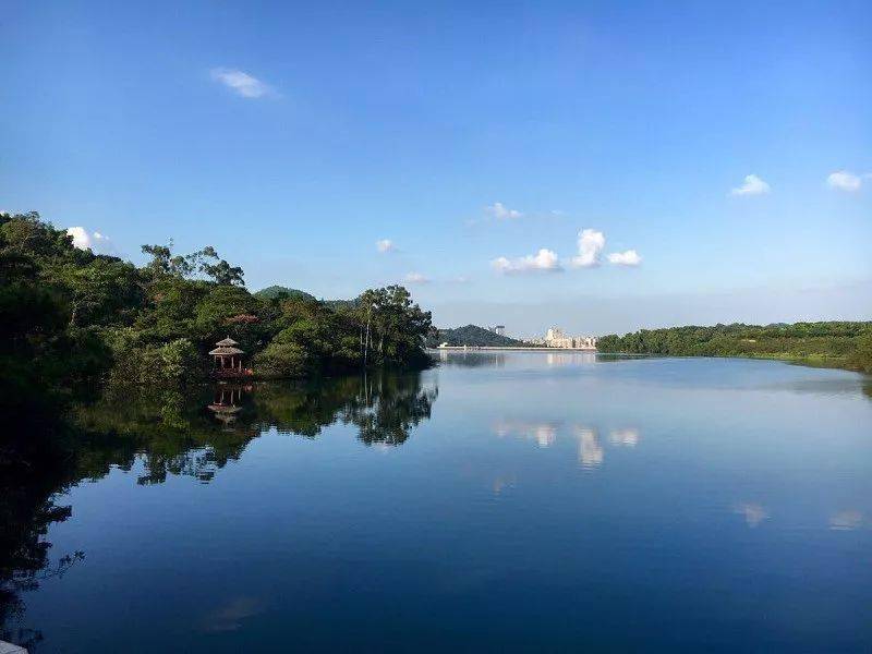 【大尖山】1月23日周六 登临五桂胜境大尖山 品美味鲜嫩脆肉鲩