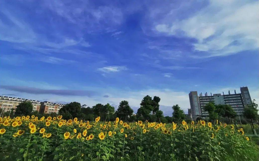 温岭市城镇常住人口_城镇常住人口增长背景