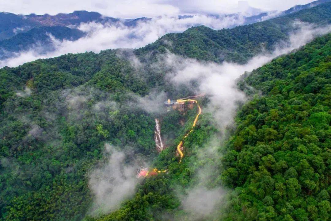 春节每天出发畅游清远天子山大氧吧打卡天后瀑布网红秋千七彩滑道让你