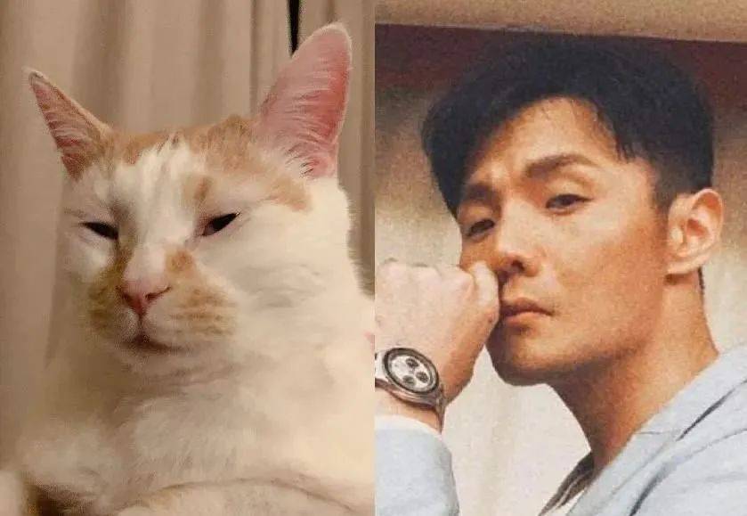 楊丞琳曬出一張照片引起全網爆笑：這是李榮浩的娃嗎？哈哈哈哈哈！ 萌趣萌寵 第26张