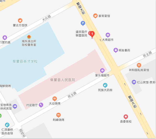 阜蒙县城区地图图片