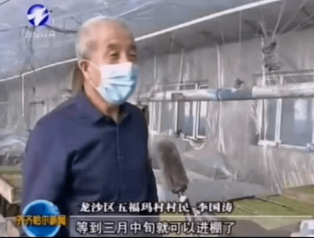 卢屯镇人口_人口普查(2)