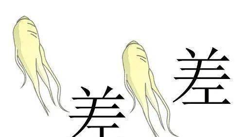 一家人看图猜成语答案大全_看图猜成语答案大全(3)