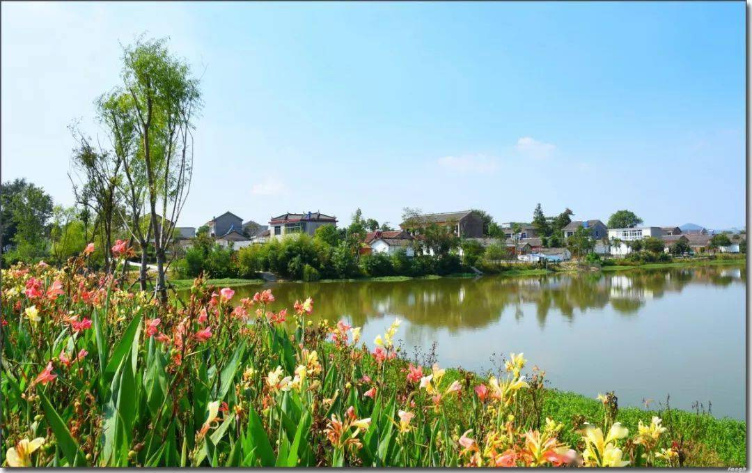 近年来,巢湖市美丽乡村建设特色各异,个性突出,打造了一批环湖的依山