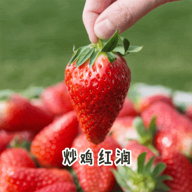 640_640gif 动态图 动图