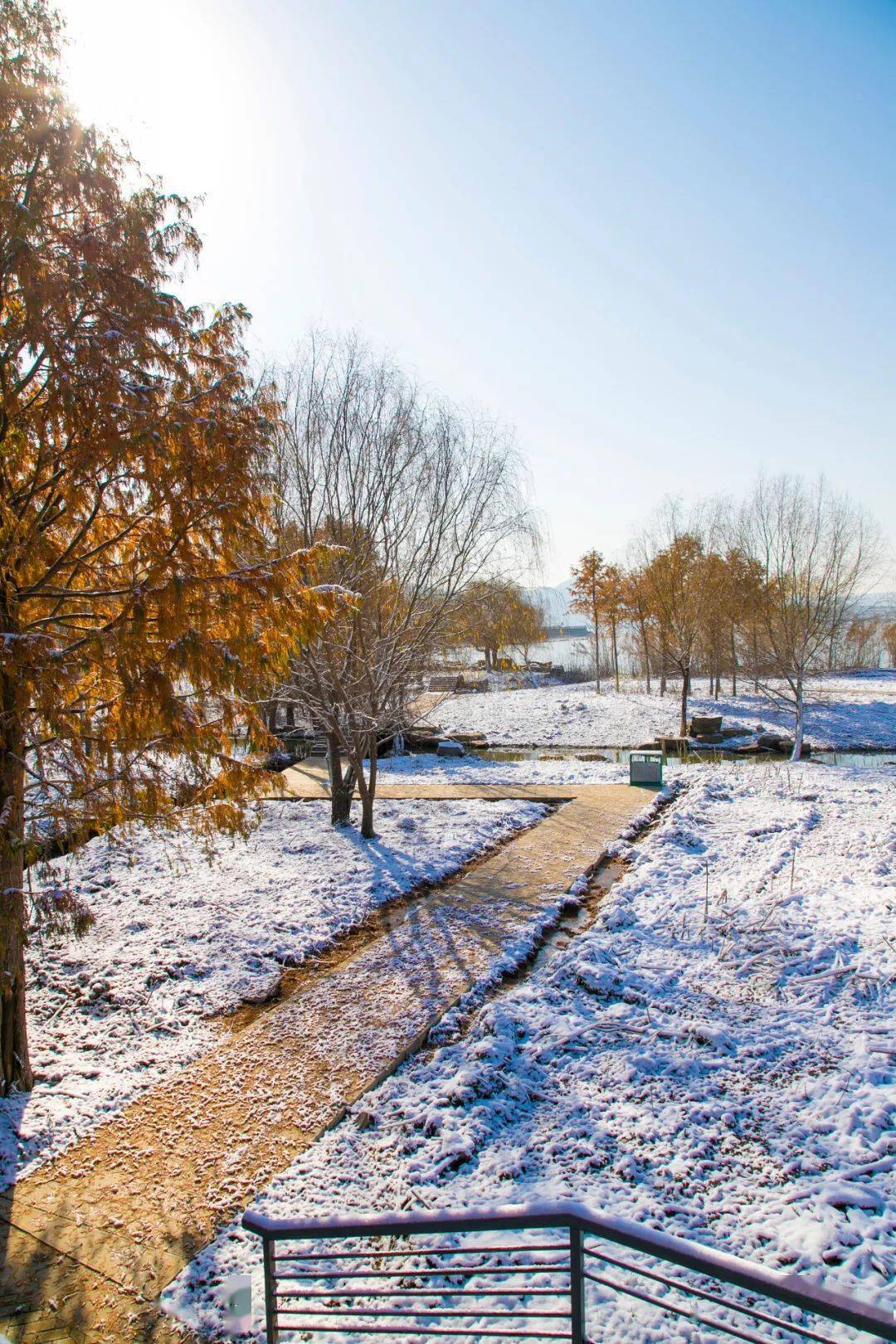 雪后巢湖犹如童话世界仿佛时间静止了