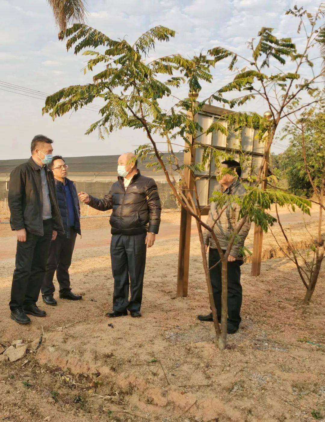 广东省财政厅考察台山市红岭种子园珍贵药材树种猴耳环基地-搜狐大视野-搜狐新闻