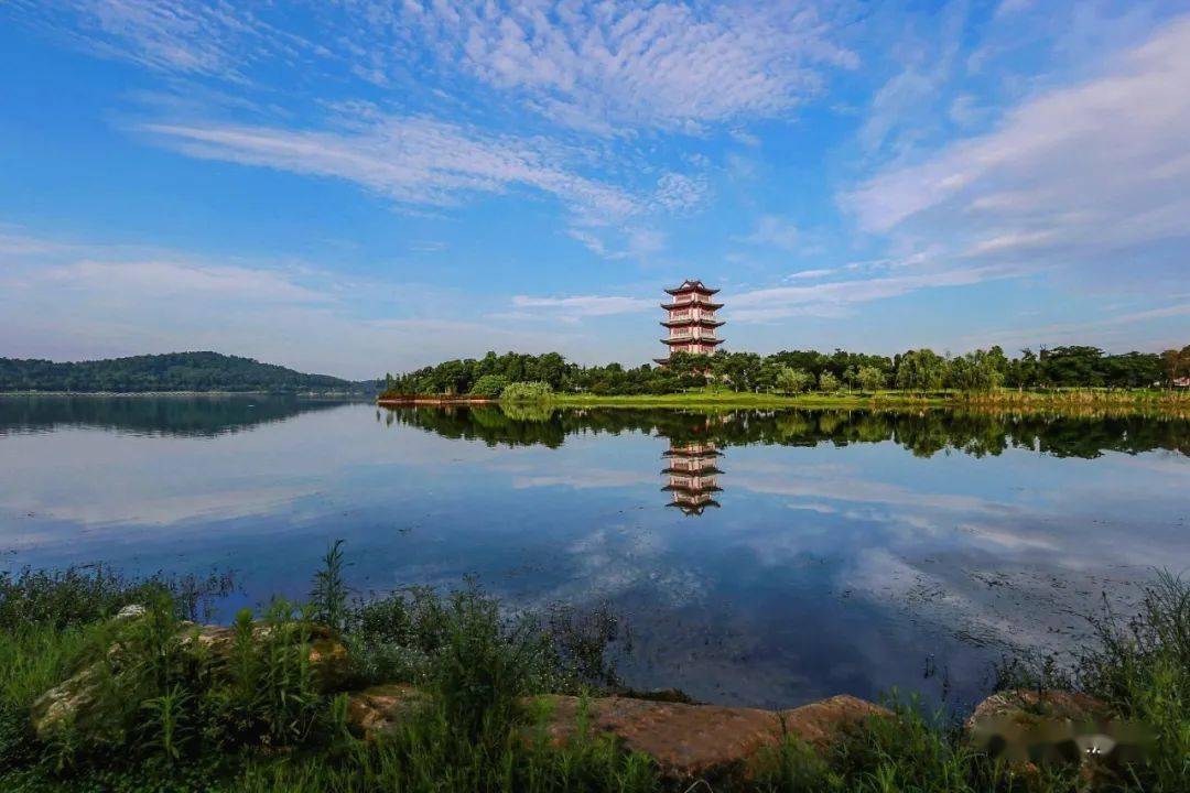 一步一景,步步皆景,来嘉鱼不得不逛的公园!