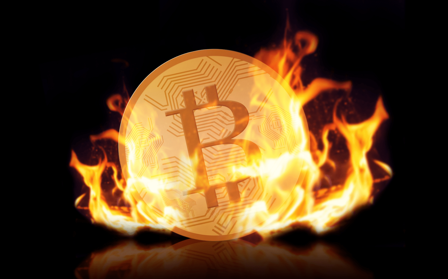 比特币到底在谁手里？持有者大揭秘！_搜狐网