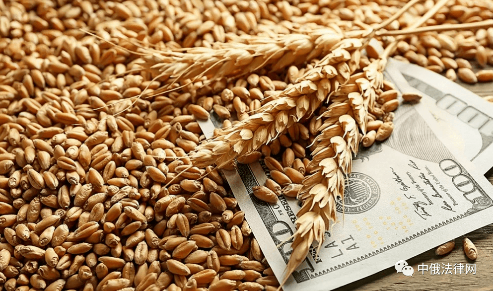 阿尔及利亚小麦进口_俄罗斯小麦进口_中国每年进口小麦多少
