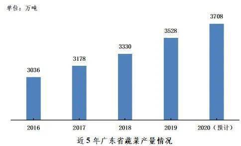 2020年蔬菜种植规模稳步提升(图4)