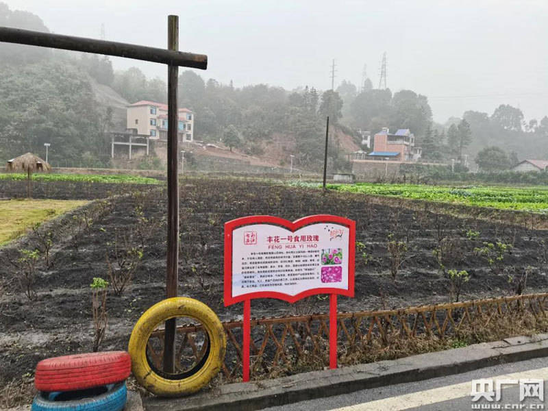 安源GDP_安源纪念馆(2)