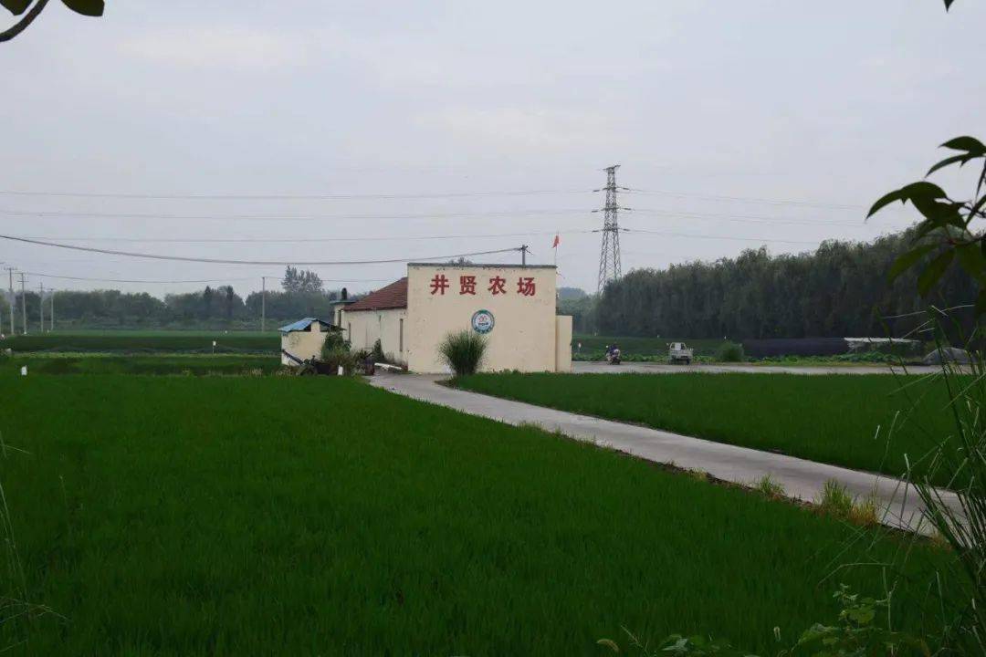 姜堰1家全省共49家上榜全省家庭农场典型案例的通知关于推介2020年度