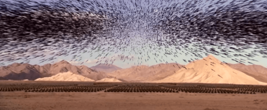 秦弩为什么能让日后灭掉大秦帝国的西楚霸王项羽的叔父项梁之父项燕