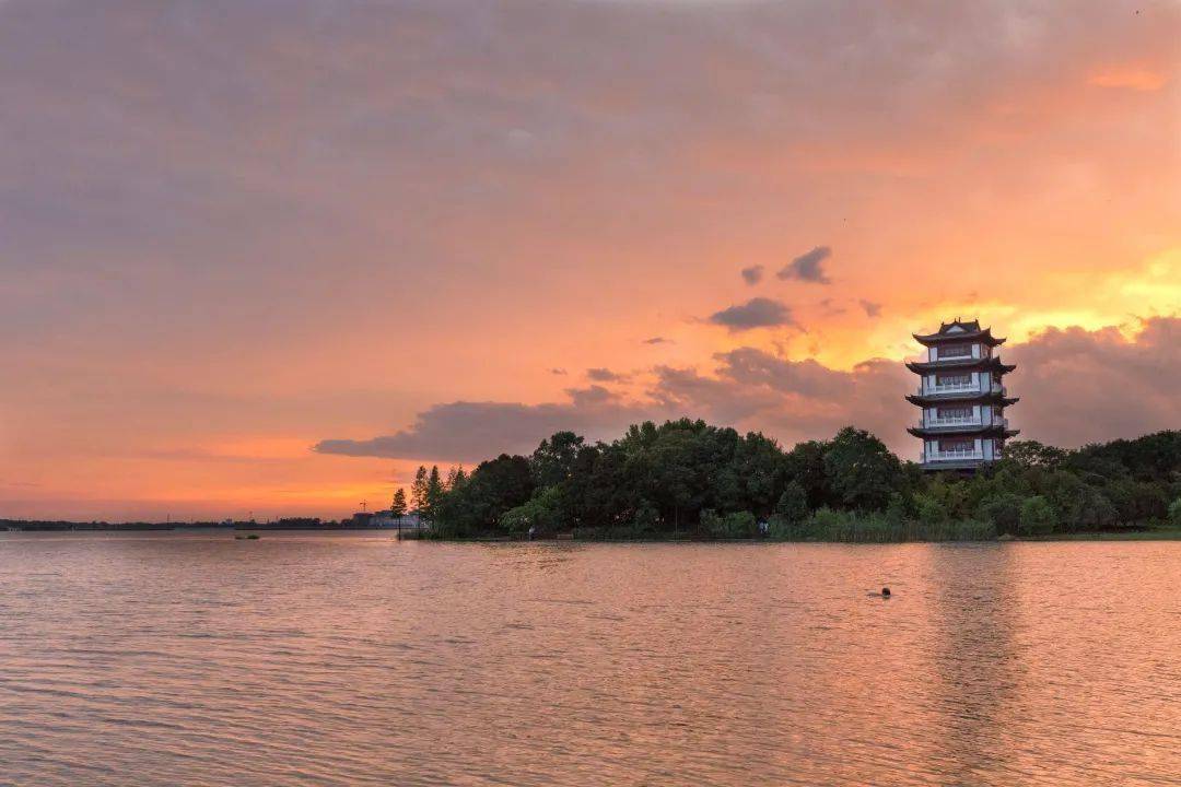 《夏日黄昏》拍摄地点:湖北咸宁嘉鱼县活动详情及投稿方式:游荆楚大地