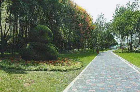 道路绿化中 城市干道植物应这样配置 景观 道路绿化中 城市干道植物应这样配置 景观