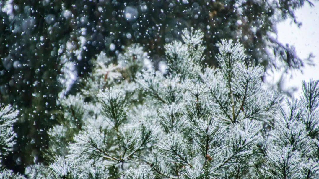 印象| 此间雪落,北大上新!