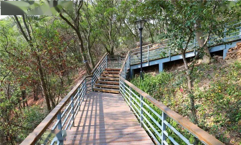 环境修复之外,保护修复项目还在无居民海岛上建了交通码头,登山步道