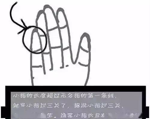 cd277a34ce1647569aef90e3ed02a1e8.jpeg