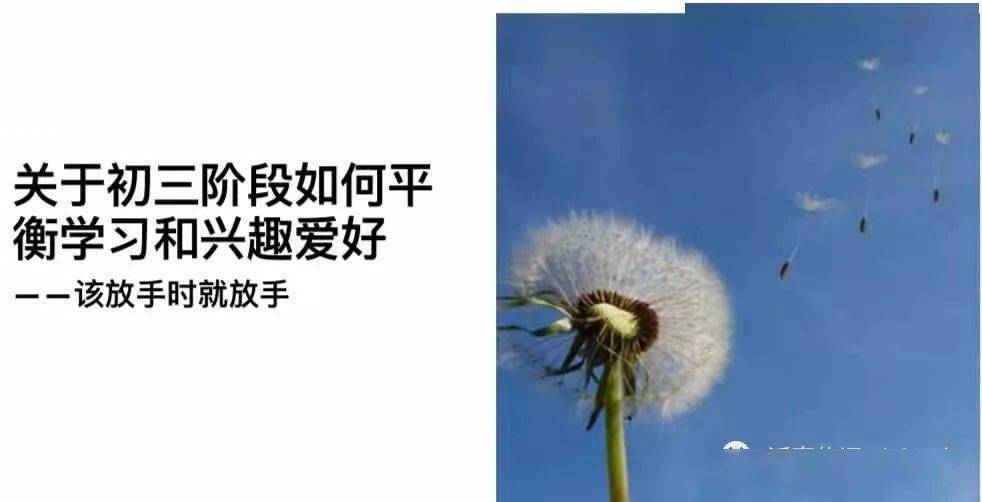 2686e98b966a480898cb73f51452e932.jpeg