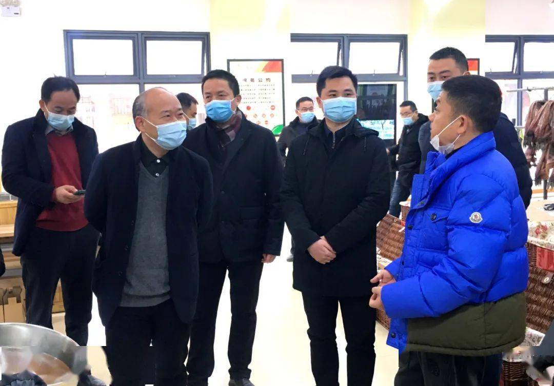 新洲区委相关领导及仓埠街道一行领导陪同下,参观考察仓埠山庄生态园