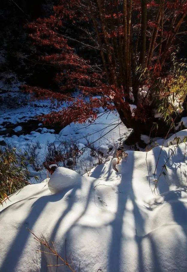 冬日唐家河冰雪大舞台