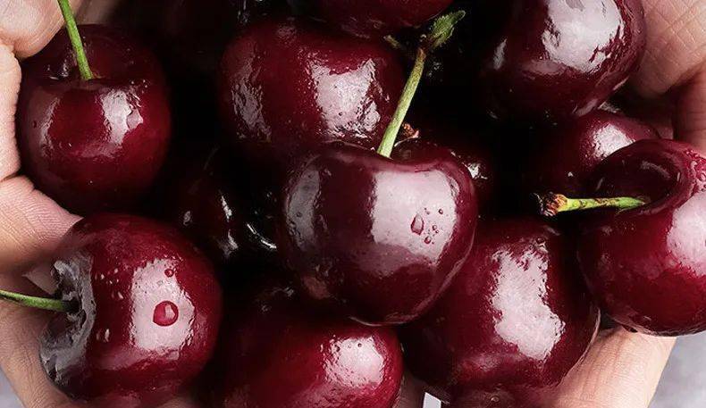 超实惠全城配送无需预约香甜智利lapins车厘子来袭128元享j级车厘子5