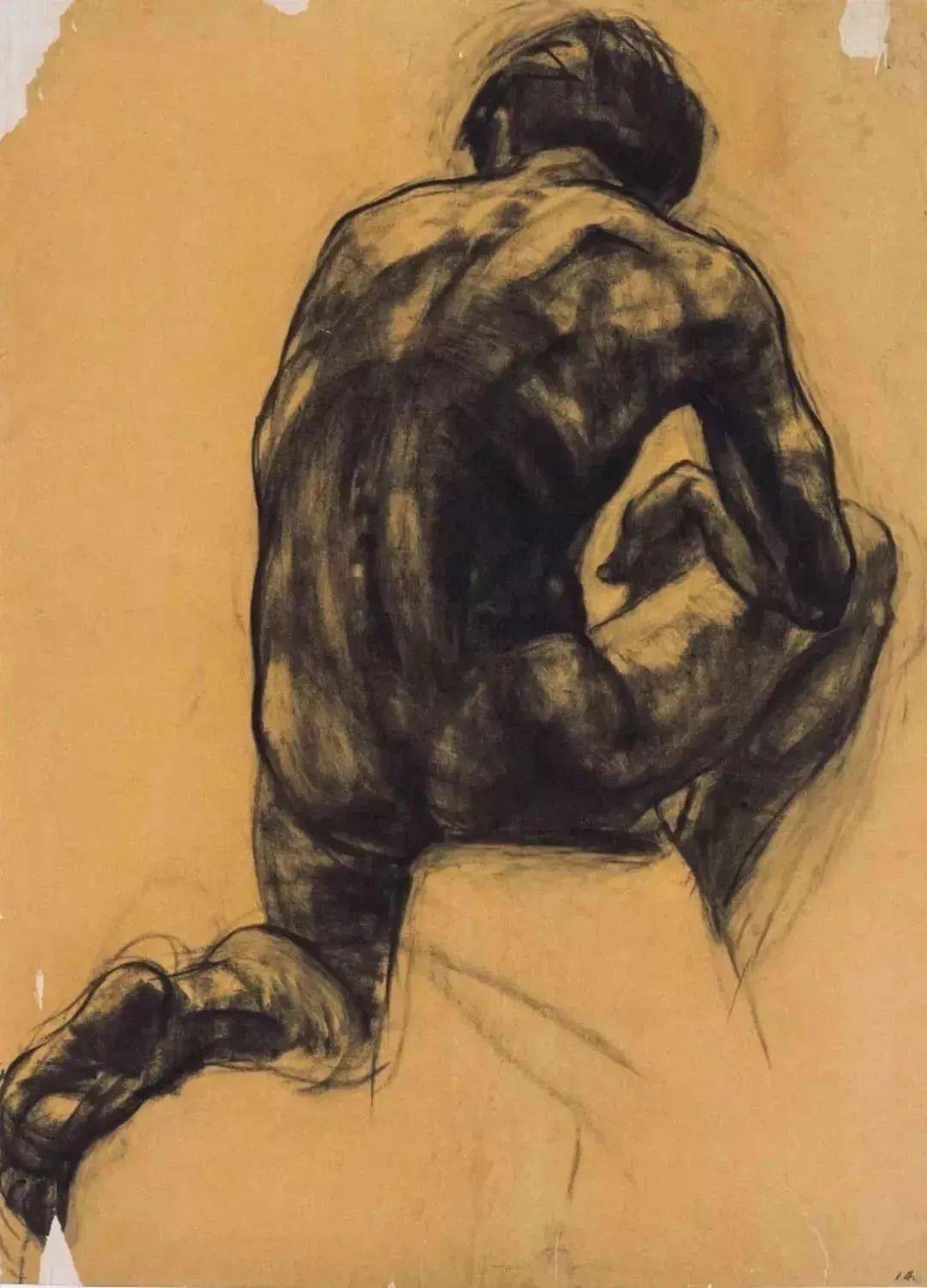 央美最全的人体素描作品合集不要再问我为什么跪着看手机