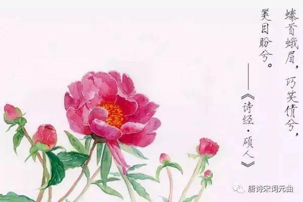 诗经·卫风·硕人