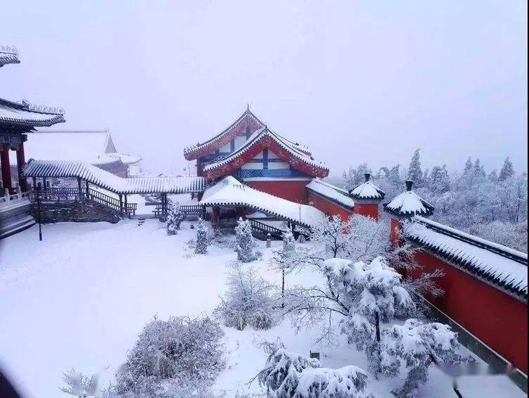 成都 大慈寺>滑动查看下一张图片 上海 玉佛寺共赏古刹雪景宜煮一壶