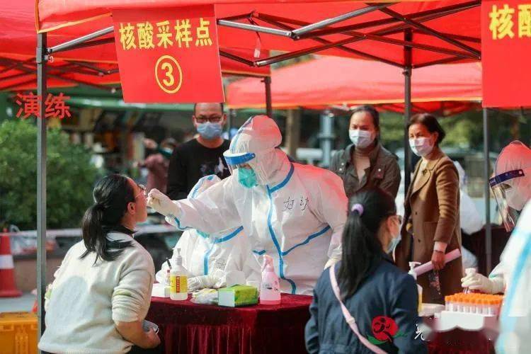 县委常委,宣传部部长,副县长,县疫情防控指挥部常务副指挥长黄春柳,副