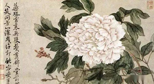 恽寿平的牡丹花活色生香满庭芳 花鸟画