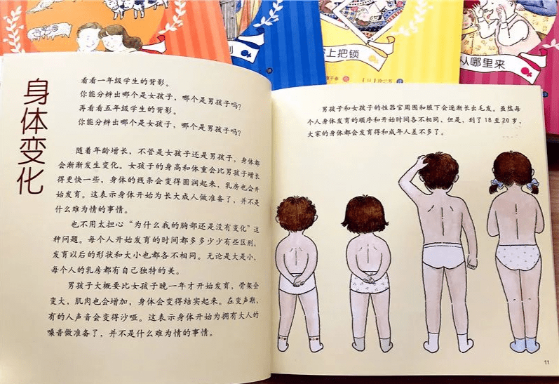 期和刚刚步入青春期,男孩和女孩的生理发育情况,告诉孩子什么叫隐私