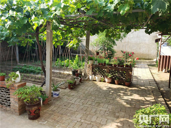 黄岗村农户家的小院   "我们高阳镇以黄岗村为试点,以农村人居环境