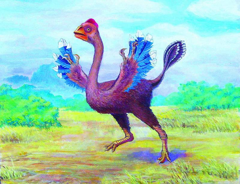 黄氏河源龙站起来了河源镇馆之宝黄氏河源龙模型全面完工并对外展出