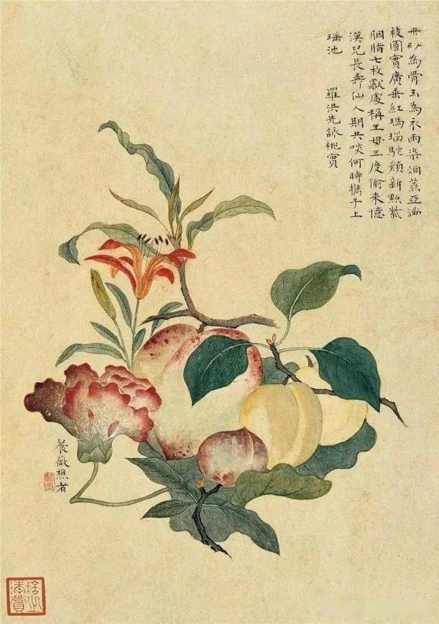 陈明自 花果册 欣赏 声明 陈明自 花果册 欣赏 声明