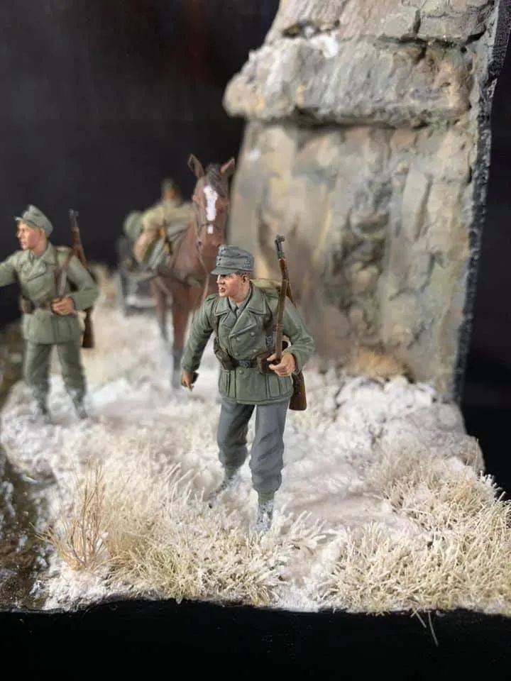 佩戴雪绒花的真男人德军山地步兵在前进