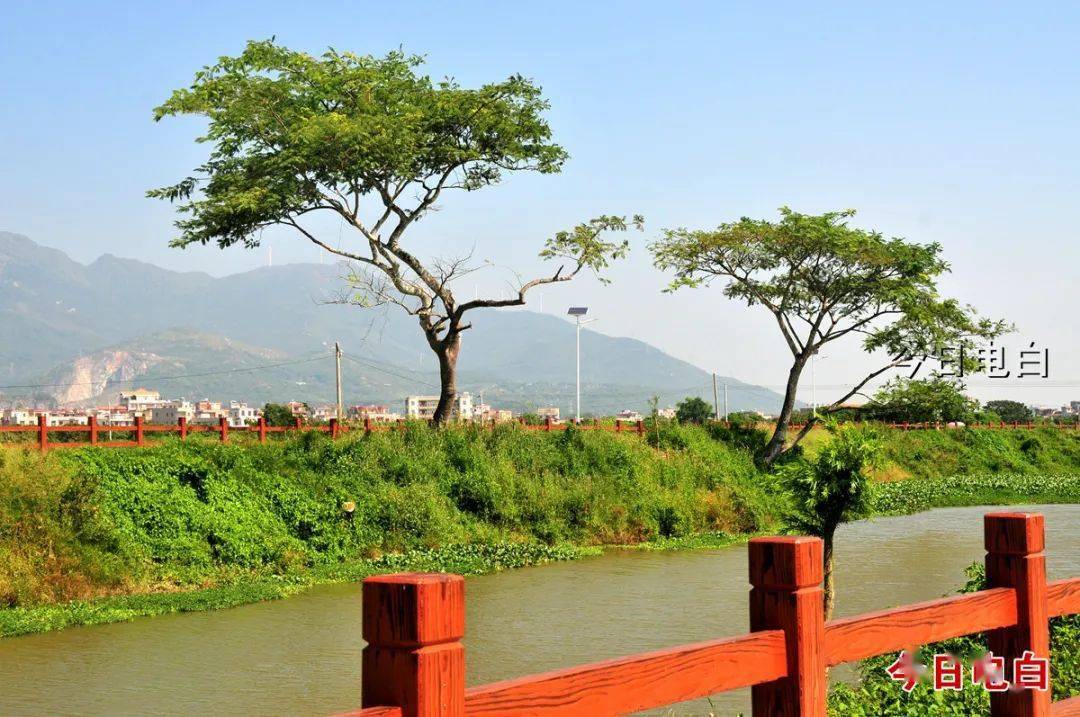 霞洞镇东坡河水清岸绿换新颜